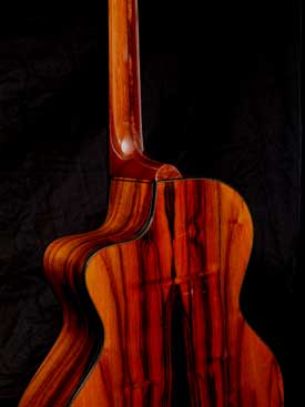 everett guitar brazilian rosewood