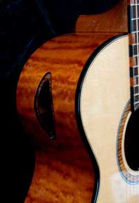 catalina guitar options