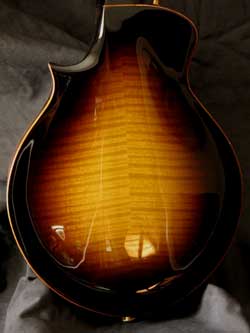 mandolin detail