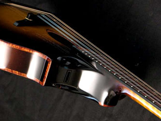 cutaway on everett mandolin