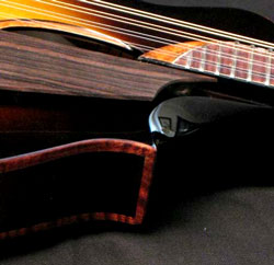arm bevel on everett mandolin