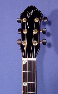 Elan Guitar Model