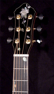 Elan Guitar Model